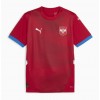 Camiseta de fútbol Serbia Primera Equipación Euro 2024 - Hombre